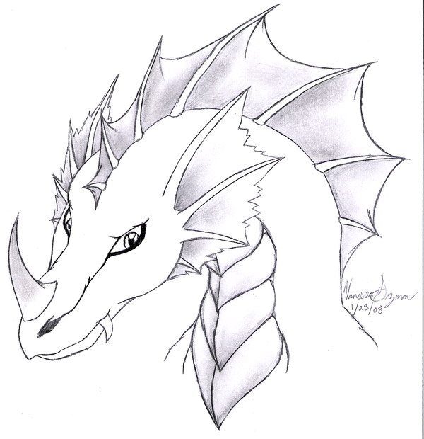 600x620 Water Dragon Head By Rubygirl14