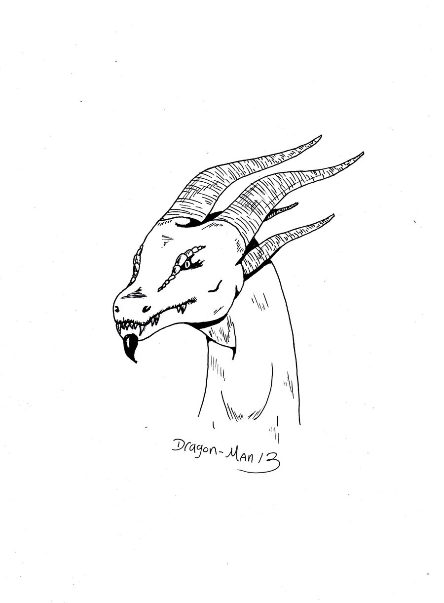 900x1221 Dragon Head Simple By Dragon Man13