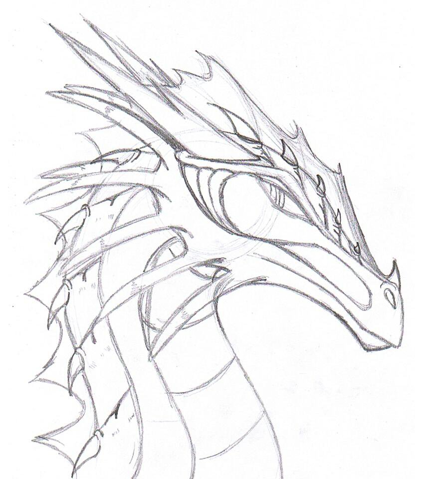 850x960 Water Dragon Head By Siaorie