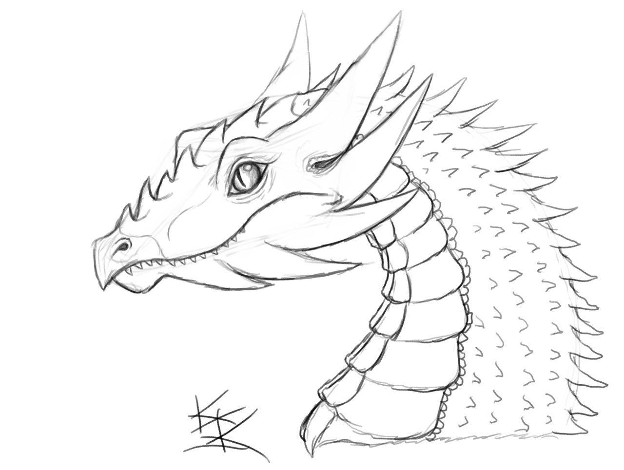 1280x965 Dragon Sketch By Techdrakonic