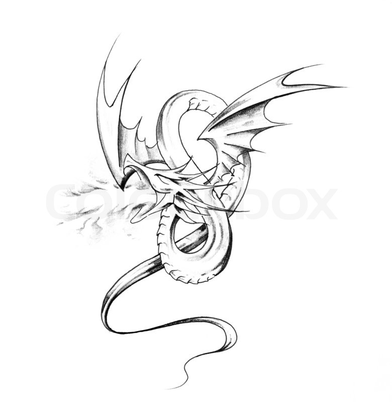 780x800 Sketch Of Tattoo Art, Dragon Stock Photo Colourbox