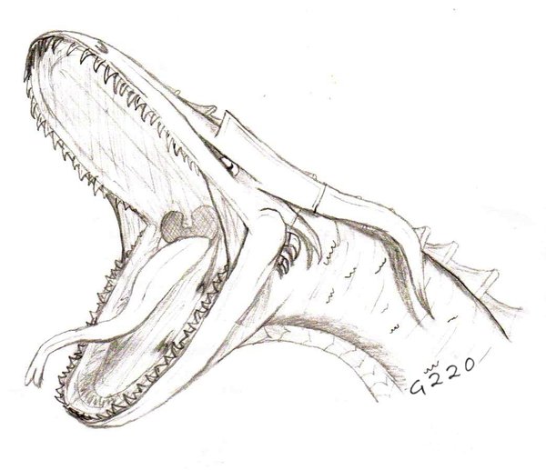 600x517 Angry Dragon Pencil Sketch By G220