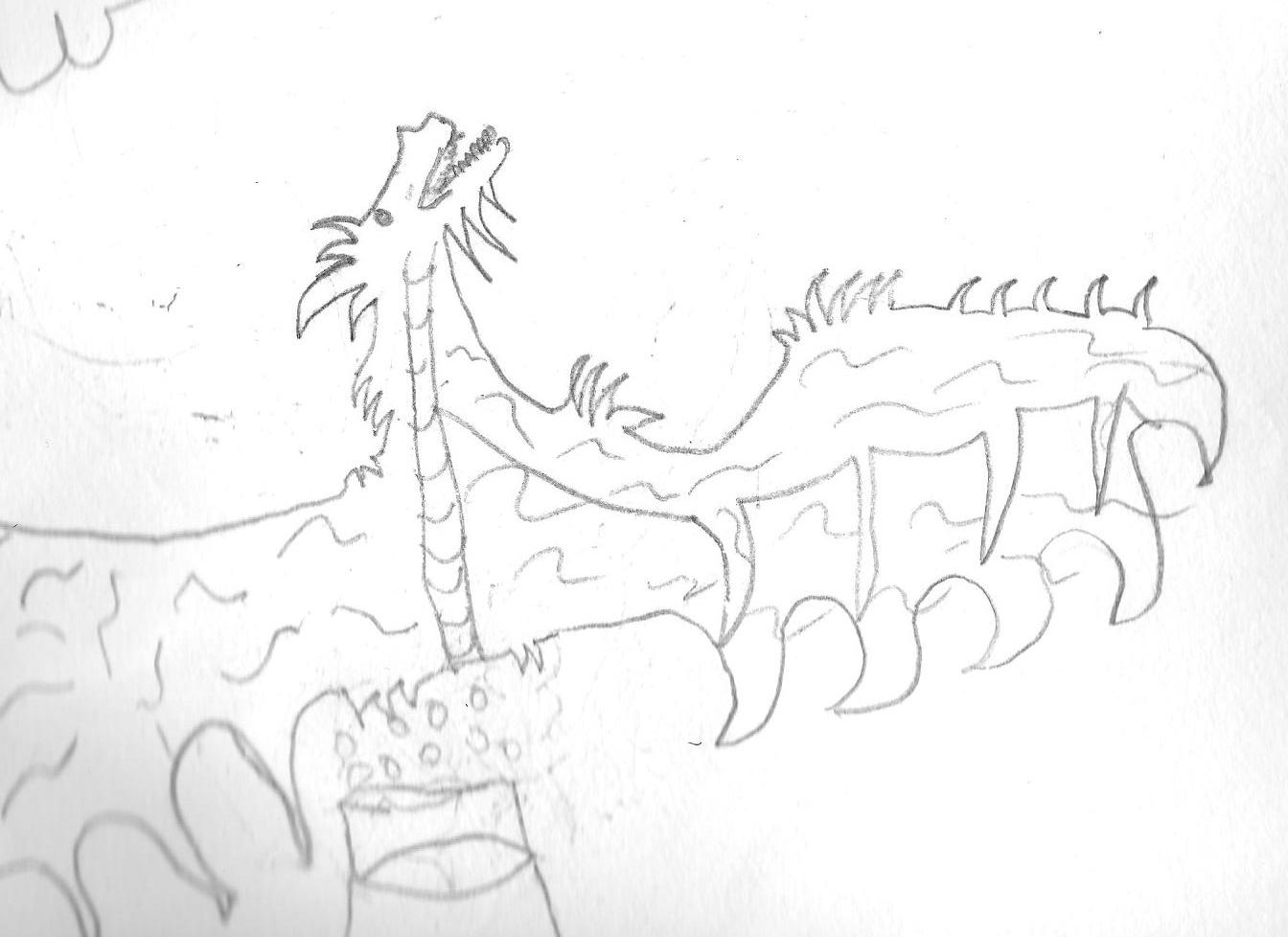 1344x978 Dragon Pencil Sketches Dragonsandmorebyrish