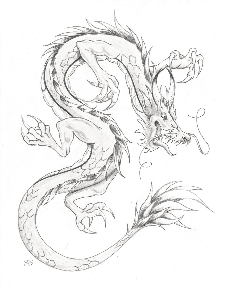 900x1161 Chinese Dragon Drawings In Pencil