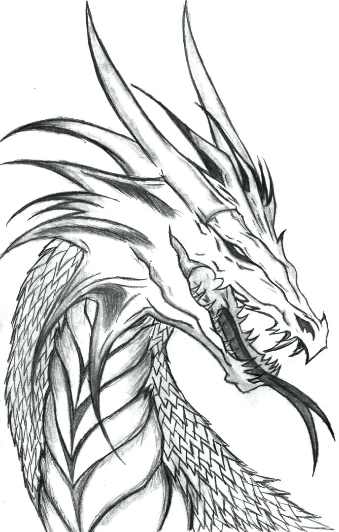 688x1080 Realistic Dragon Coloring Pages Coloring Pages