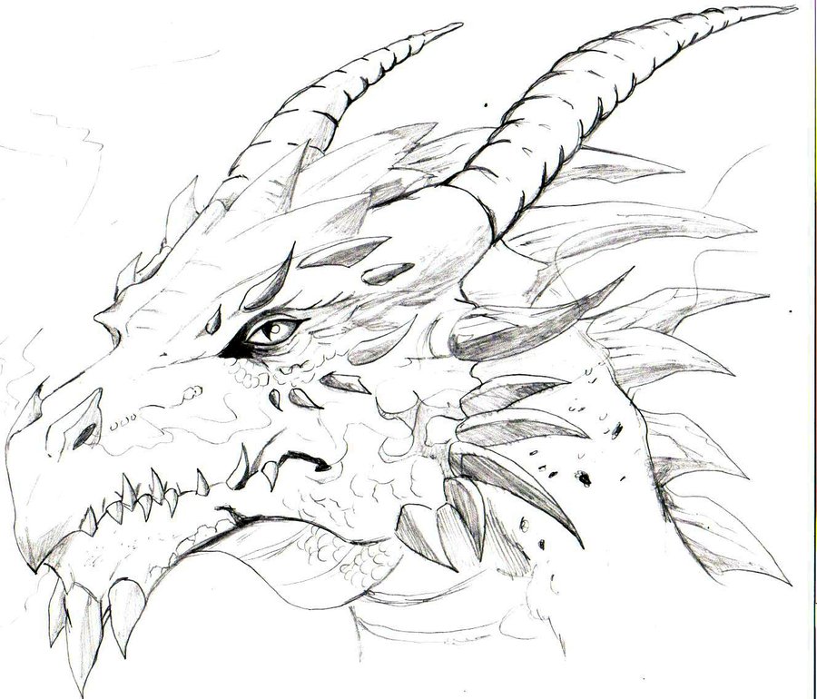 900x770 My 1st Dragon Head By ~trunks24