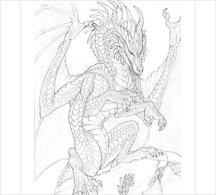 750x675 Dragon Pencil Drawing Sketches Free Amp Premium Templates