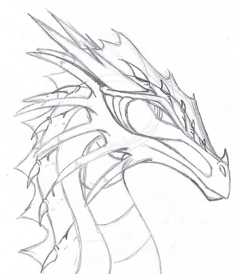 841x950 Realistic Dragon Drawings