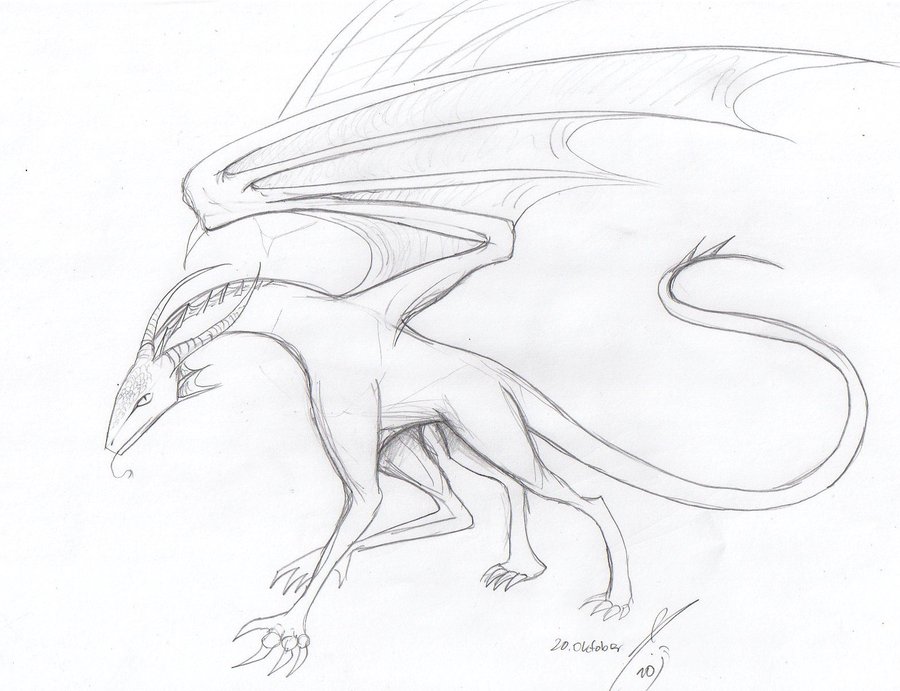 900x691 A Simple Dragon Sketch By Bruneburg