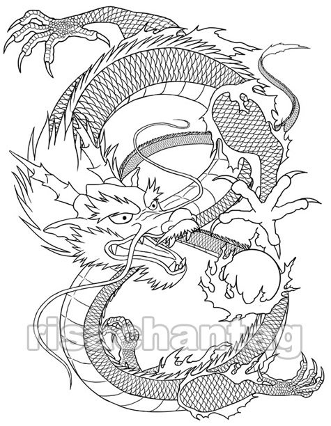 475x612 Dragon Tattoos And Designs Page 129