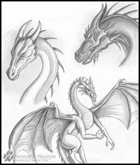 480x563 10 Best Hand Drawing Images On Drawings, Hand Drawn