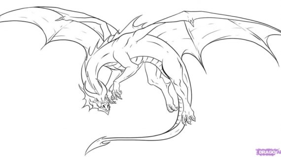 570x320 Drawing Of Dragons Dragon Drawings Bing Images