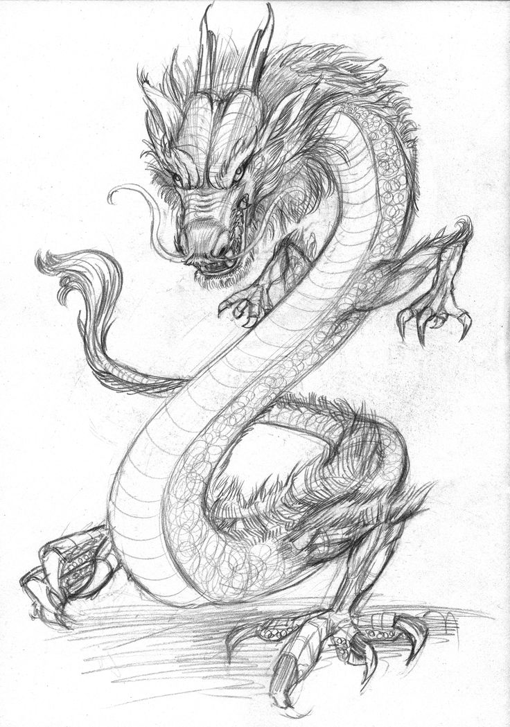 736x1049 361 Best Shadiah Ink Images On Dragon Illustration