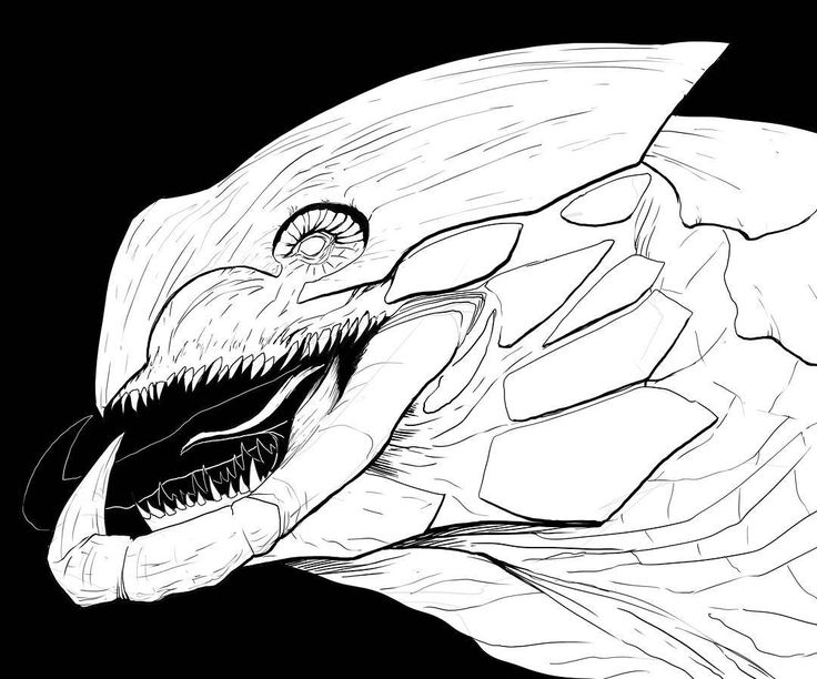 736x612 54 Best Ethan S Brewerton Illustration Images