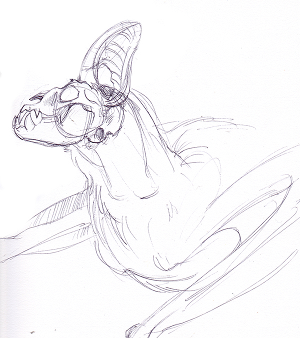 600x676 Seven Dragon Sanctuary