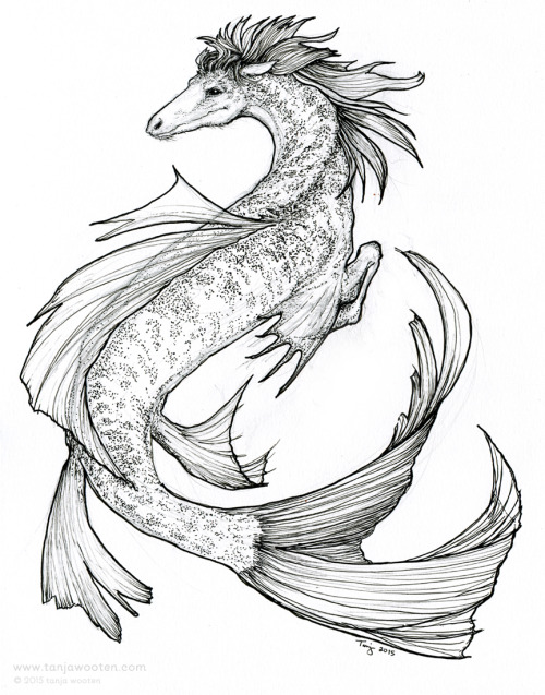 500x637 Tanja Wooten Illustration