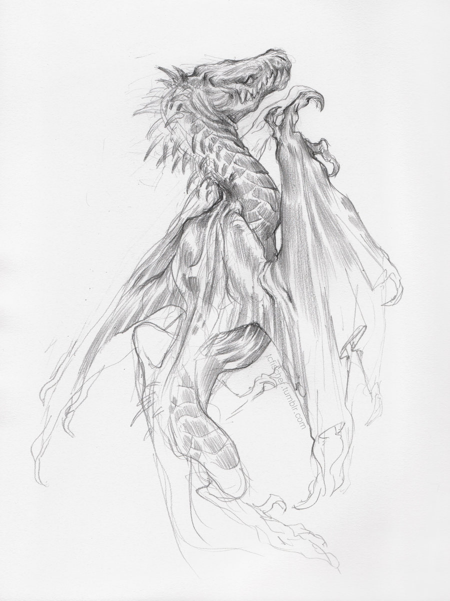 900x1202 Daily Dragon Sketch By Beastysakura