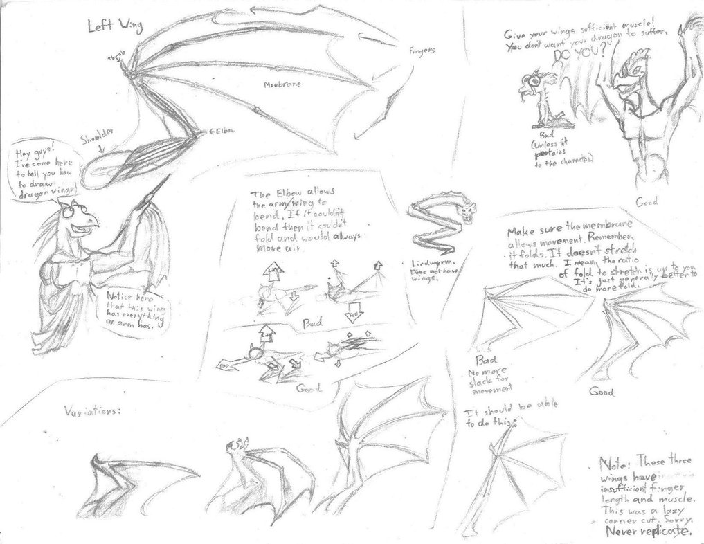 1017x786 Dragon Wing Tutorial By Orgeston