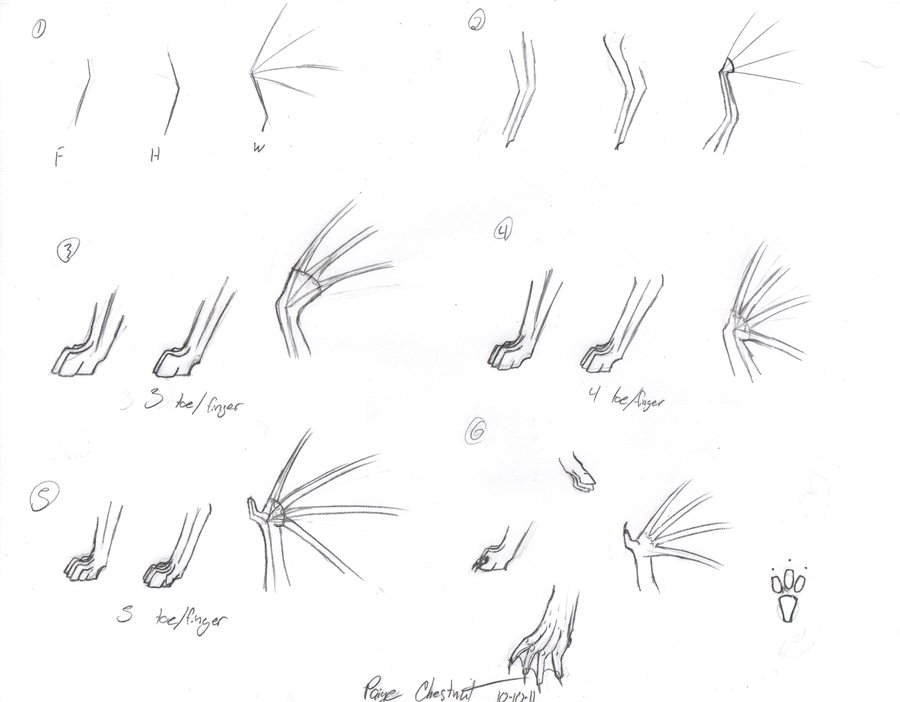 900x702 Dragon Tutorial 3 Paws By Dragongirl508