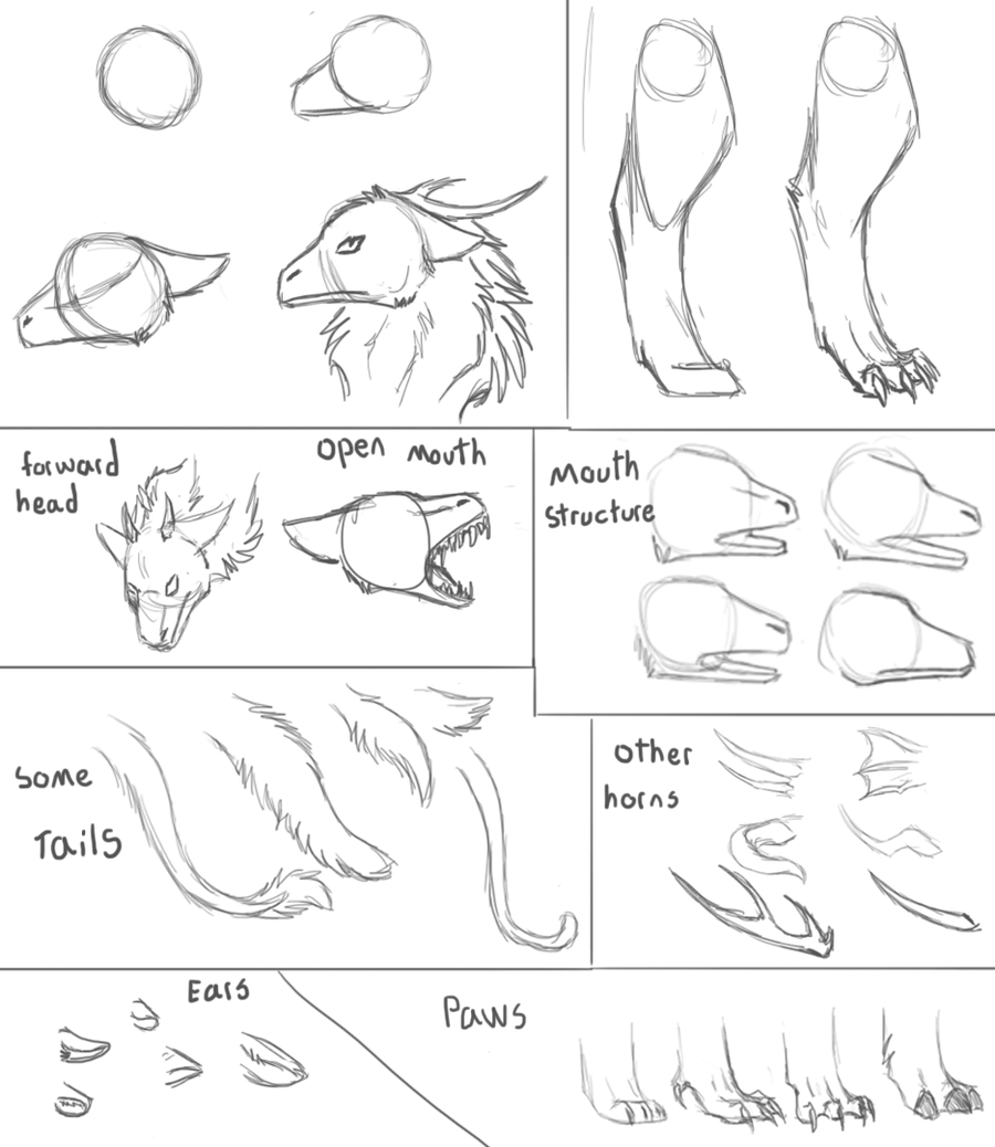 900x1038 Drawing A Catori Dragon By Desertdruid