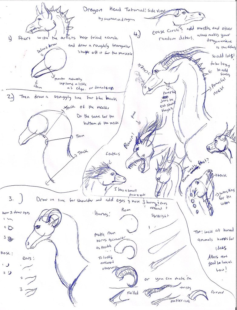 782x1022 Dragon Head Tutorial By Saphariadragon