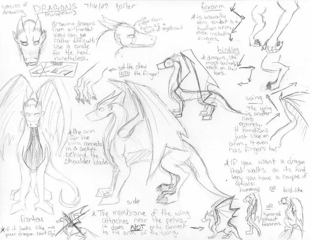 1024x789 Dragon Tutorial By Qorter