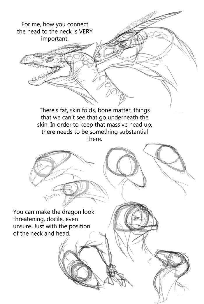 700x1044 Dragons Tutorials Longpost Drawing Tutorials Mudora