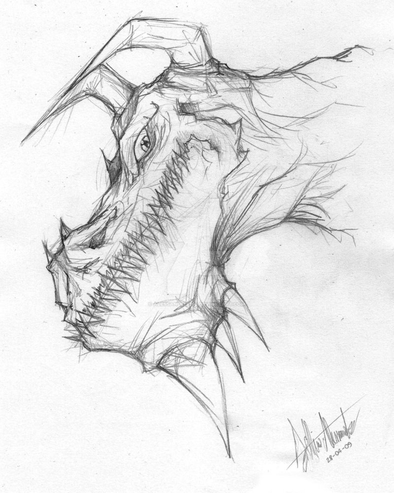 799x1001 Dragon Sketch By Alessandelpho
