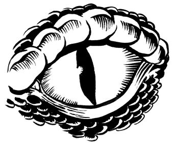 345x289 Pyrography Wood Burning Snake Dragon Eye Pattern Graphics