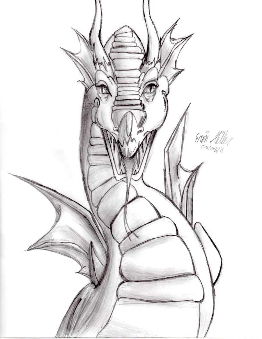 900x1165 Dragon's Head, Front View By Erinemerald930