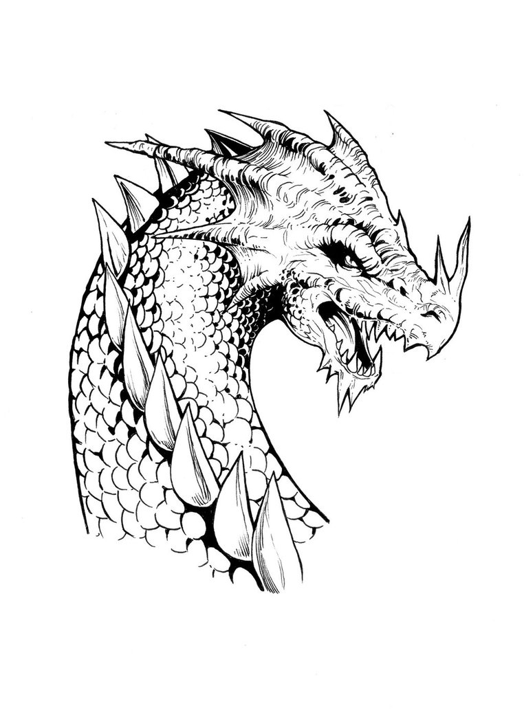 762x1049 Dragon Face Drawings Dragon Faceshonemitsu