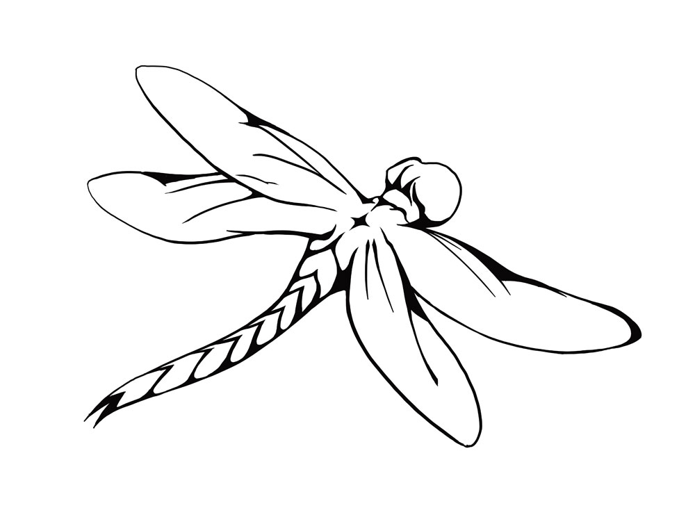 1000x744 Drawing Dragonfly Clipart