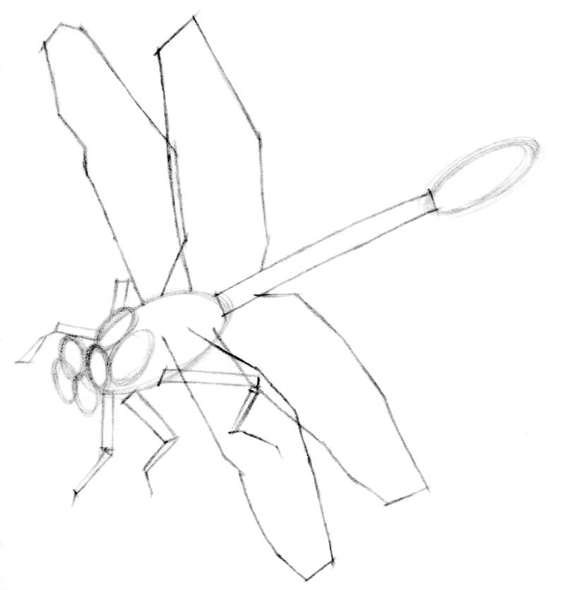 800x836 Drawing Lesson Dragonfly The Scribbles Institute