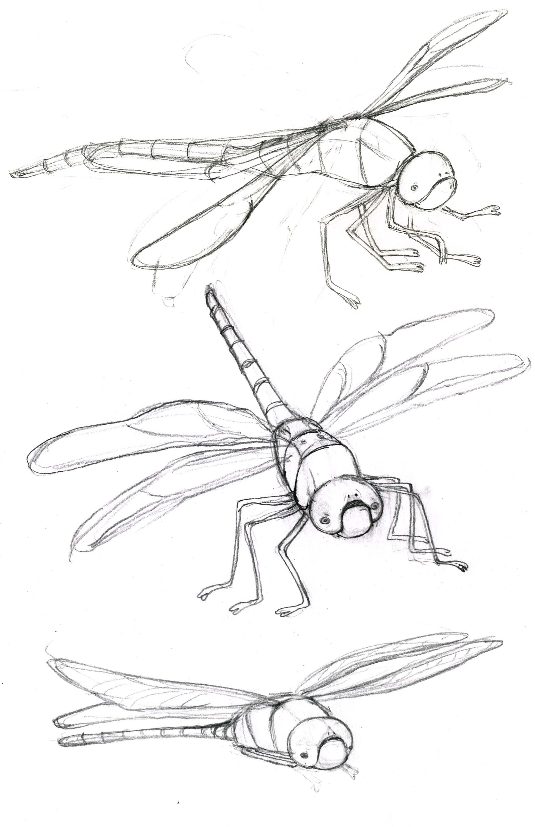 2073x3200 The Dragonfly Flying To The Moon Boonsri Tangtrongsin