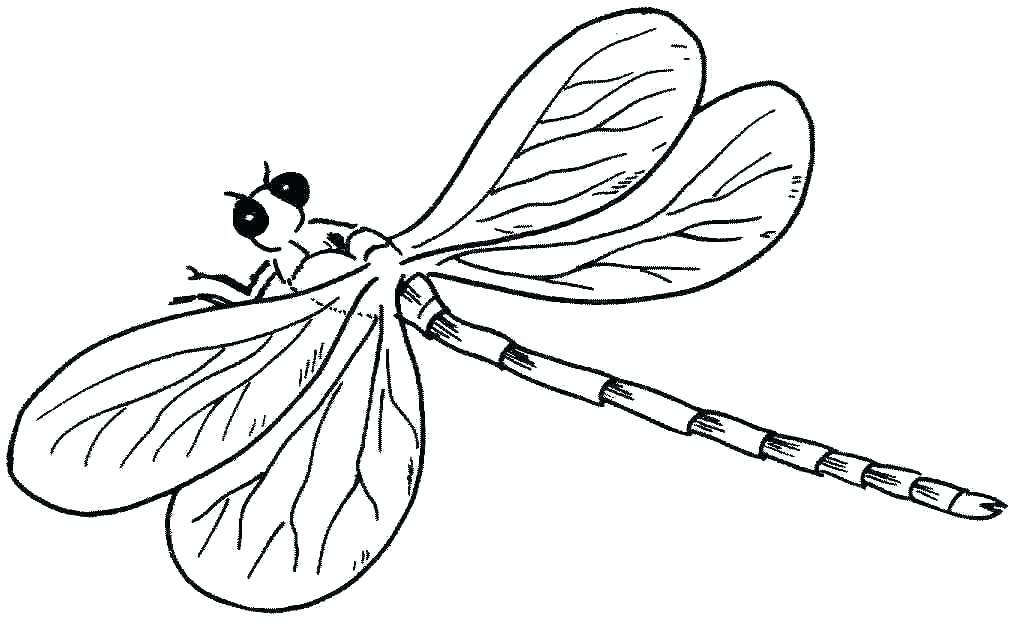 1015x624 Dragonfly Coloring Pictures Dragonfly Coloring Page Preschool