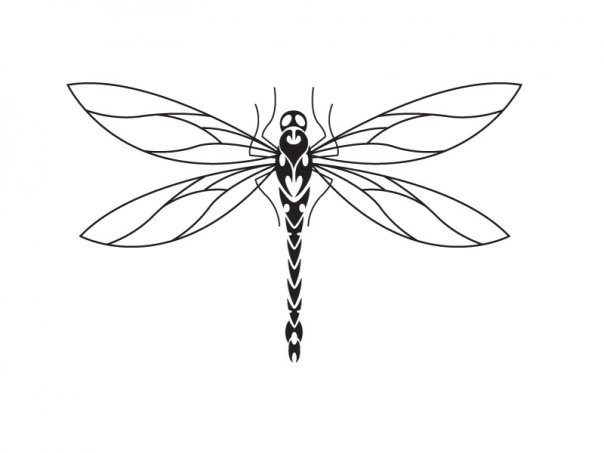 604x453 Dragonfly Tattoo Design By Micma