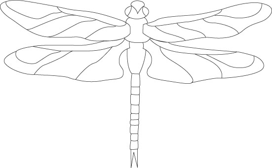 551x341 Alembic Club Dragonfly Inlay