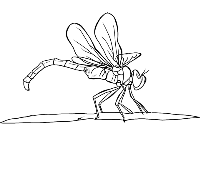 700x574 Free Dragonfly Coloring Page 19