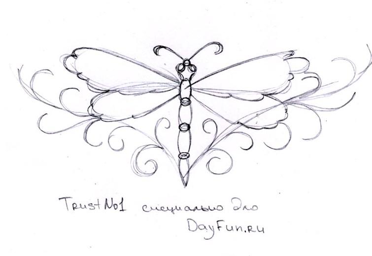 755x519 How To Draw A Dragonfly Step By Step