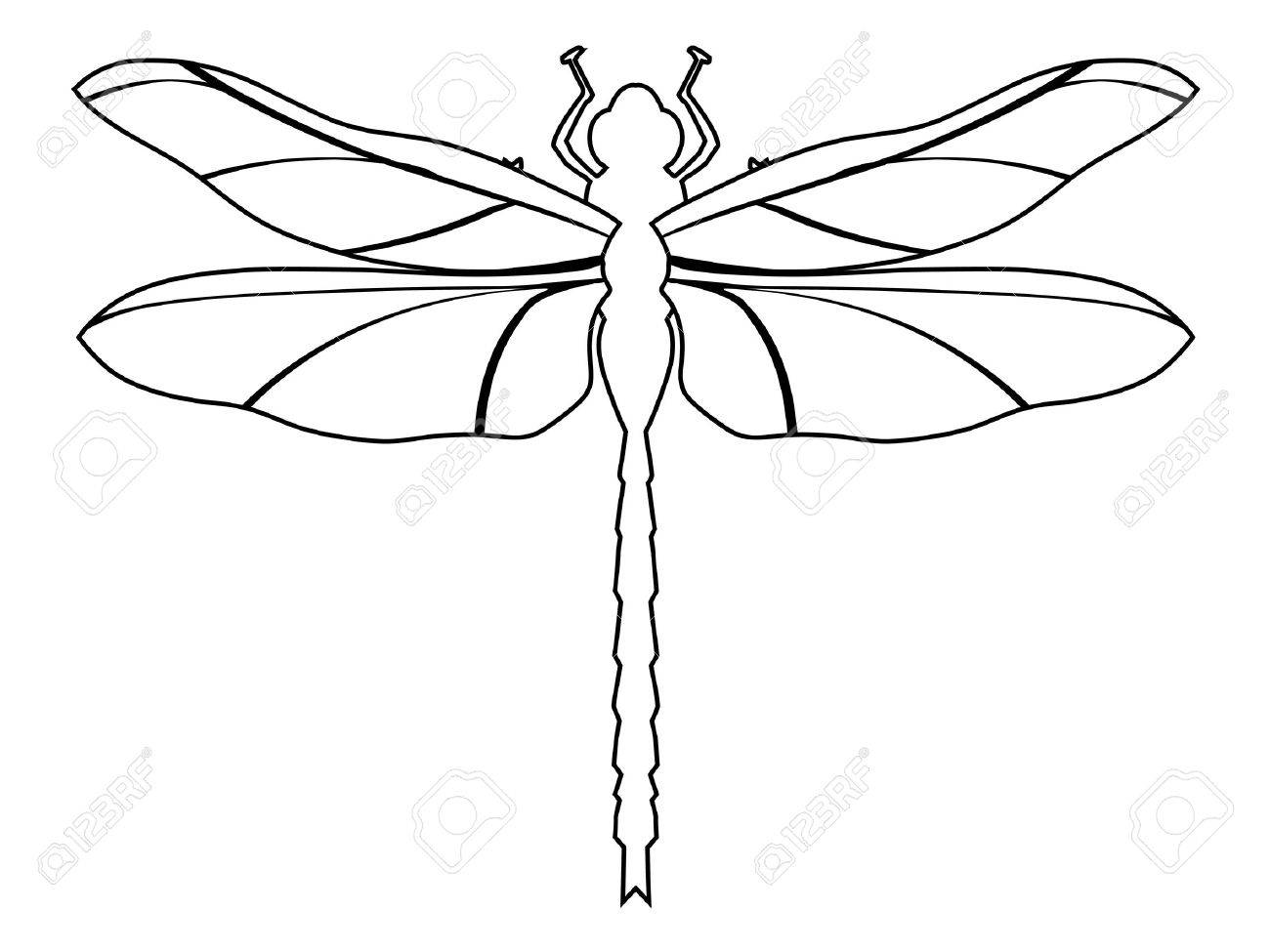 1300x975 Outline Illustration Of Dragonfly, Top View Royalty Free Cliparts