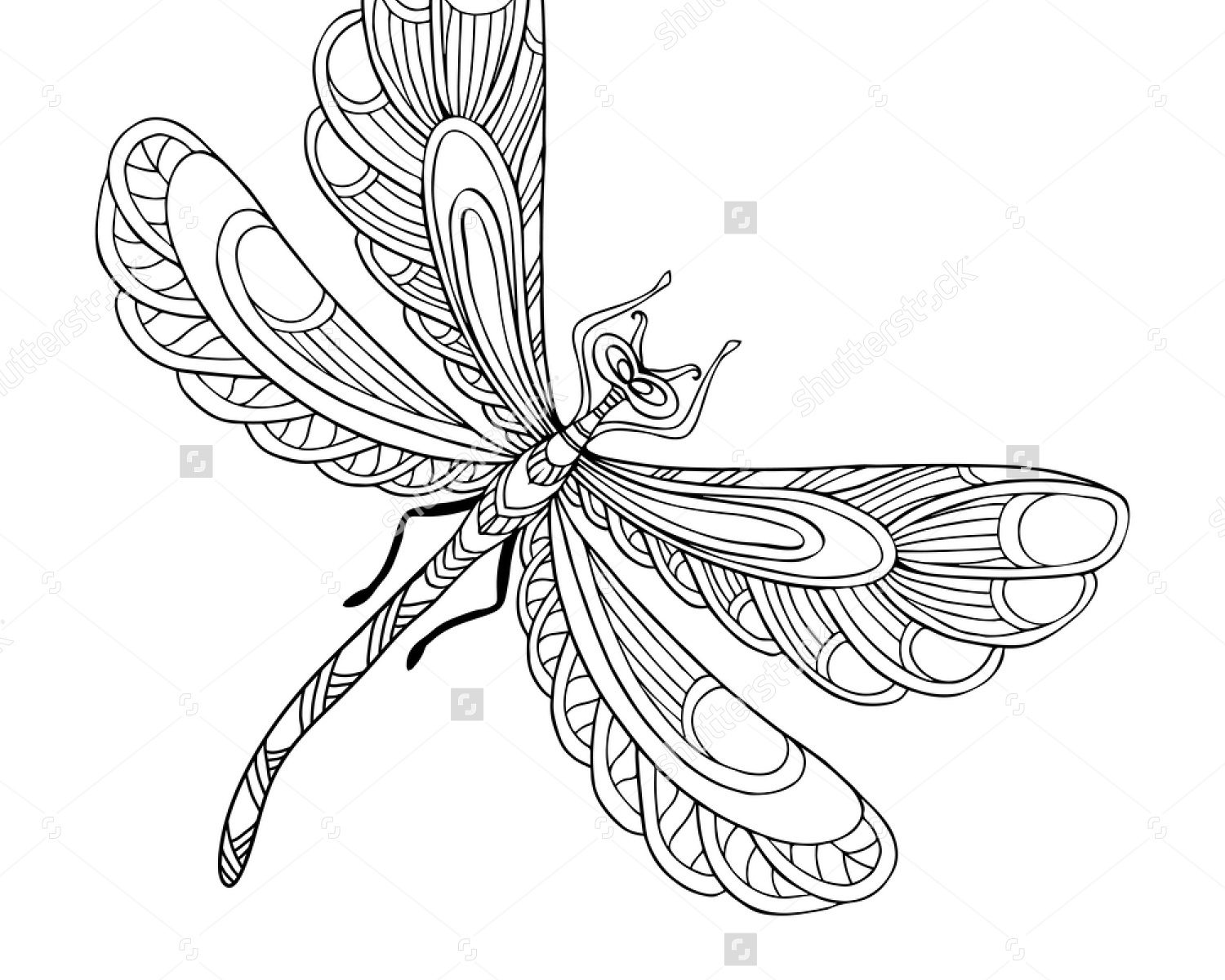 1500x1200 Dragonfly Coloring Pages For Kids Free To Print Fantastic Animals