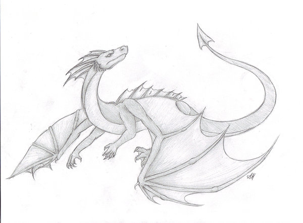 600x443 Flying Dragon By Wyvernflames