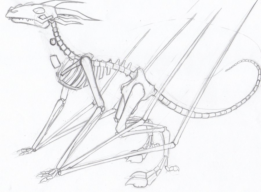 900x662 Flying Jungle Dragon Skeleton By Holographiczach