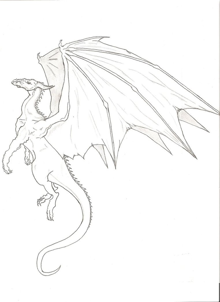 762x1048 Drawn Dragon Flying Dragon