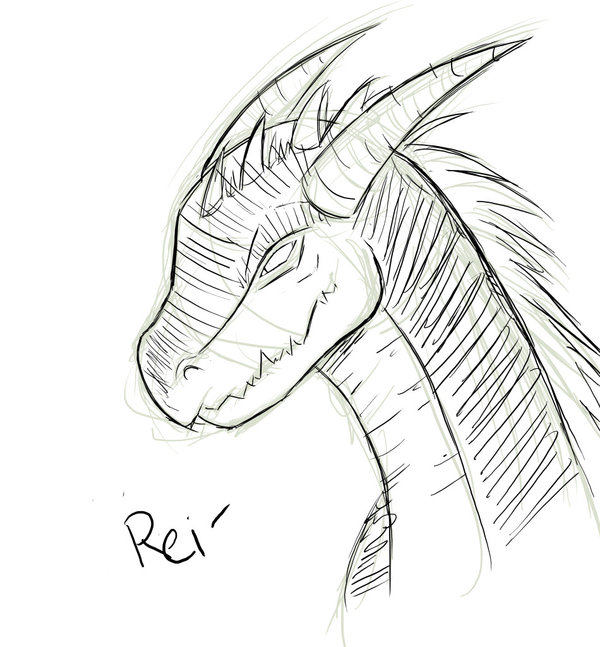 600x647 Sketch Dragon Head By Saoshi Kun