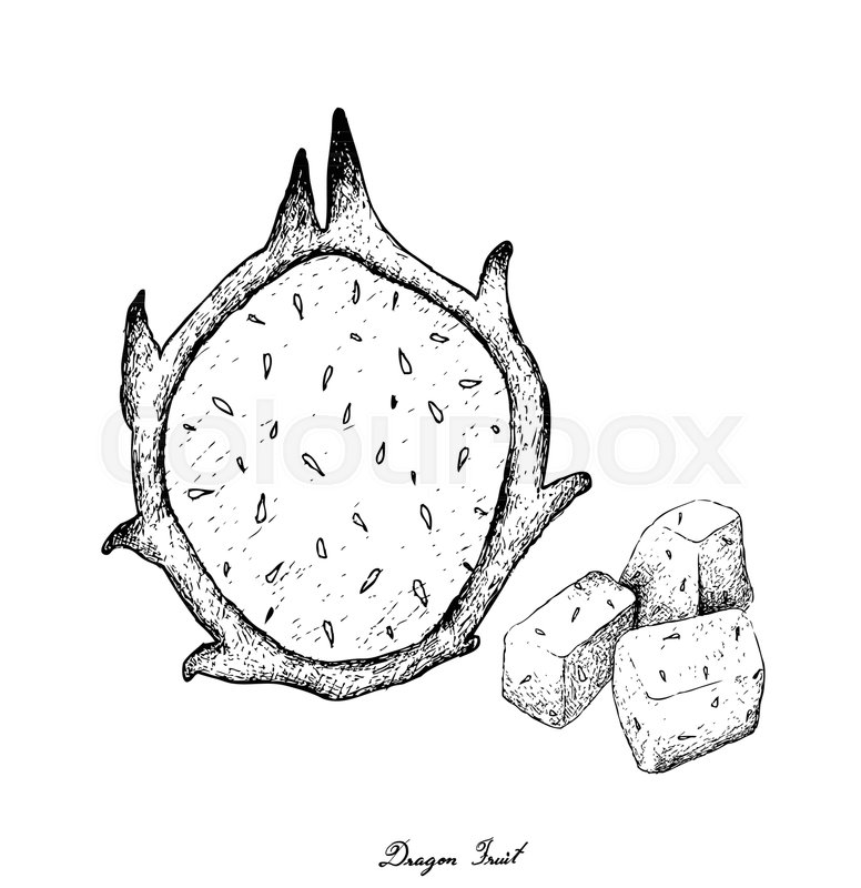776x800 Fresh Fruits, Illustration Of Hand Drawn Sketch Ripe And Sweet