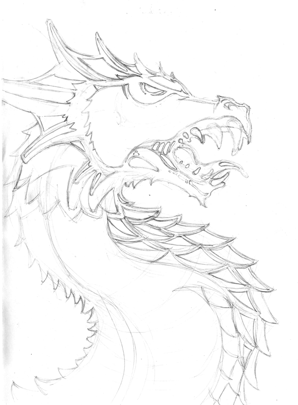 600x815 Sakai Portrait Illustration Sketch 2