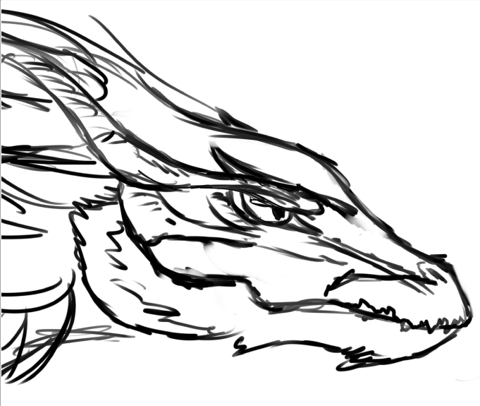 681x575 Dragon Head Side View Sketch By Dapplesnow