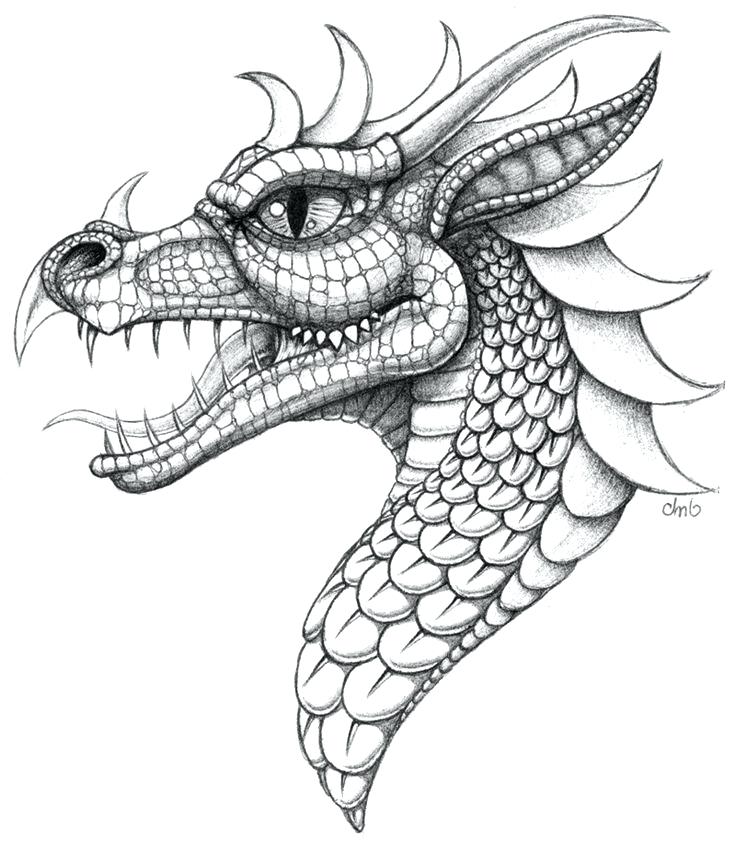 736x846 Dragon Head Coloring Page Omnitutor.co