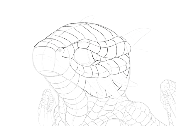 600x428 Dragon In A Snow Globe How To Draw A Baby Dragon